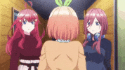 The Quintessential Quintuplets Miku Nakano GIF