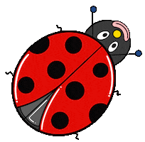 Lady Bird Bug Sticker by Natalie Michelle Watson