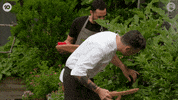 Andy Allen Jock Zonfrillo GIF by MasterChefAU