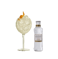 Gin And Tonic Sticker by London Essence Co.