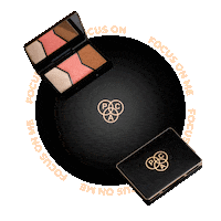Highlighter Bronzer Sticker by PAC