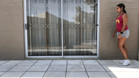 wanitanicol giphyupload GIF