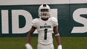 Bsubeaversfb GIF by Bemidji State Beavers