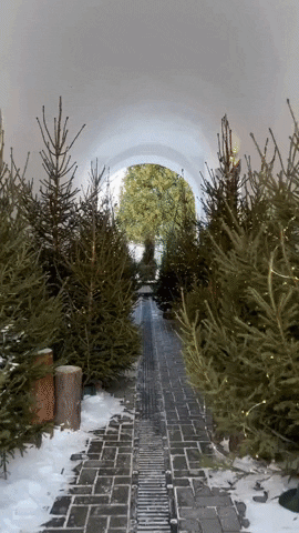 e-Kazan giphyupload GIF