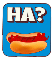 Hot Dog Illustration GIF