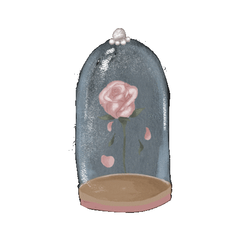cordemim_ giphyupload flower amor rose Sticker