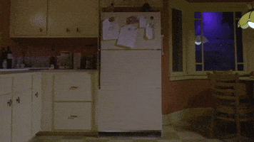 meowwolf portal fridge refrigerator meow wolf GIF
