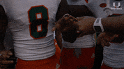 Hurricanes Football Touchdown Rings GIF by Miami Hurricanes