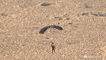 Look Up David Blaine GIF by YouTube