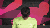 Vfl Wolfsburg Football GIF by Bundesliga