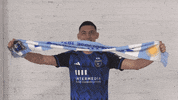 Soccer Celebrate GIF by San Jose Earthquakes