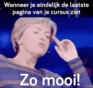 christmas steracteur GIF by vrt