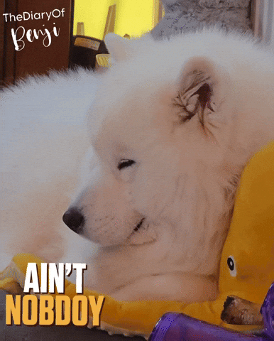 Sleep Relaxing GIF