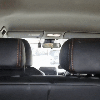 giffunme giphyupload GIF