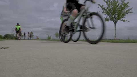 nickbergus giphyupload GIF