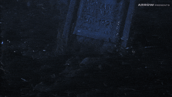 Linnea Quigley Horror GIF by Arrow Video