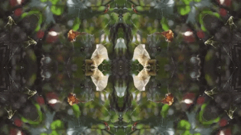Art Love GIF by jorgemariozuleta