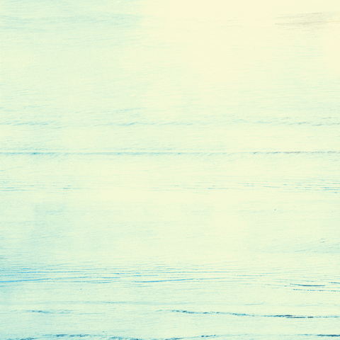 CSuarez85 giphyupload bbhomeschoolers GIF