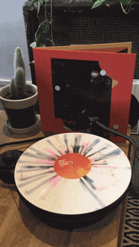 vinyl lp GIF by 4AD