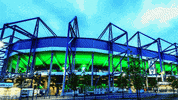 borussia park football GIF by Bundesliga