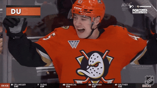 Happy Anaheim Ducks GIF by NHL