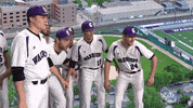 Baseball Warriors GIF by WinonaStateATH
