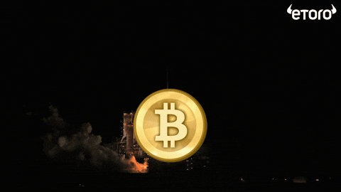 To The Moon Crypto GIF by eToro