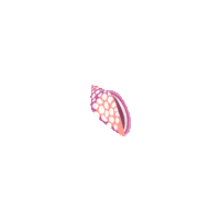 Shell Seashell Sticker by Kyte Baby