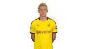 Borussia Dortmund Wtf Sticker by Bundesliga
