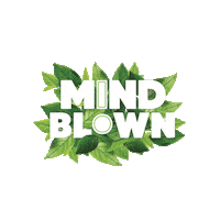 plantbasedseafoodco mindblown plantbasedseafood plantbasedseafoodco Sticker