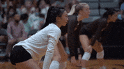 Celebration Dancing GIF by Brown Volleyball