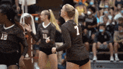 Celebration Dancing GIF by Brown Volleyball