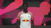 Oh No Facepalm GIF by Bundesliga