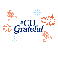 Columbia University Gratitude Sticker by Columbia