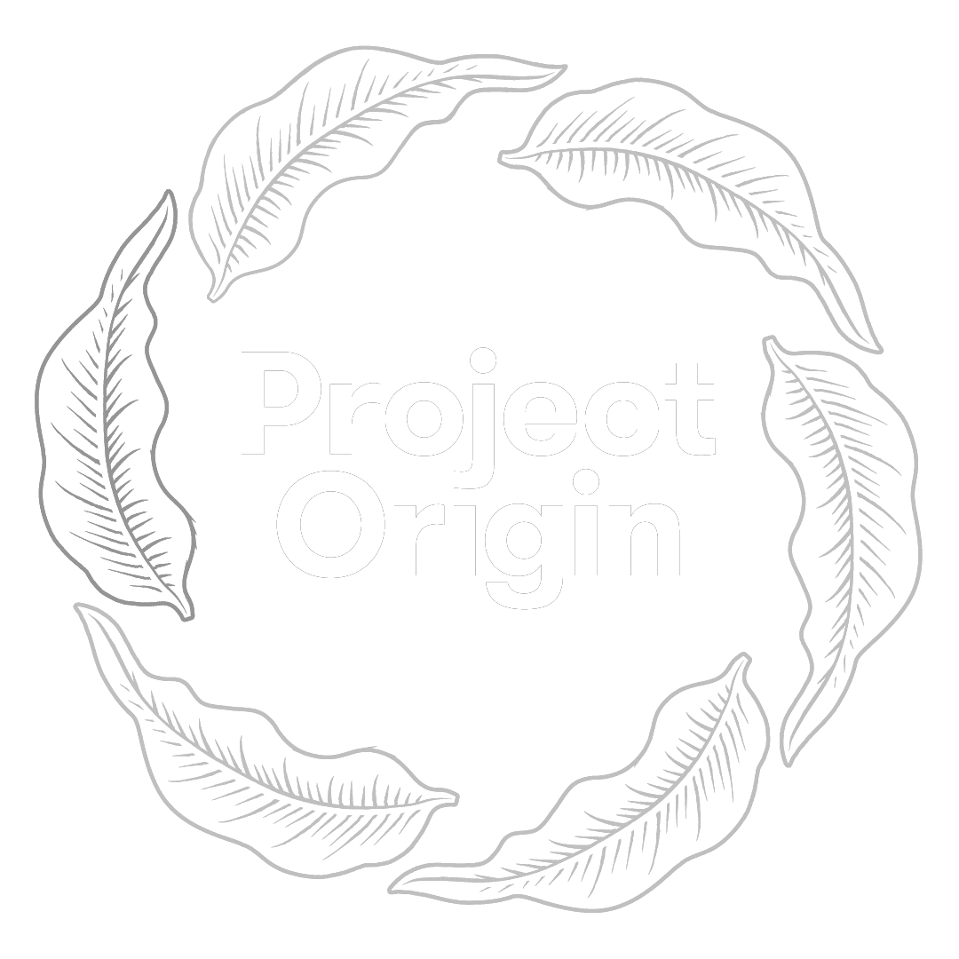 Project Origin Sticker by ProjectOrigin
