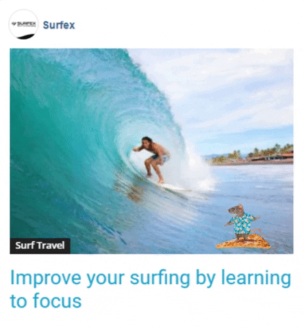 troywakelin giphygifmaker giphyattribution focus surfing GIF