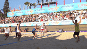 Beach Handball GIF by EHF