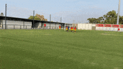 מכבי יבנה 2021 GIF by maccabi zvi yavne