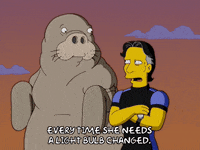 Episode 1 Wtf GIF by The Simpsons