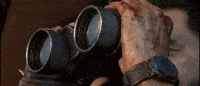 The Beast GIF