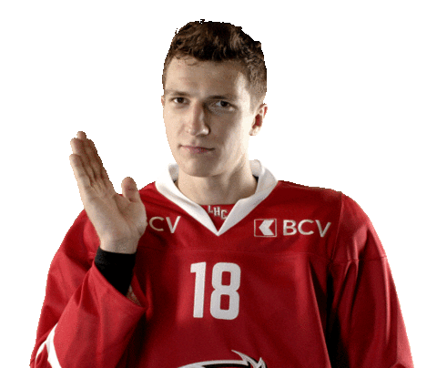 Lhc Lausannehc Sticker by Lausanne Hockey Club