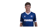 Soccer Bundesliga Sticker by Karlsruher SC