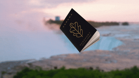 Journey Explore GIF by Niagara Parks