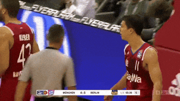 sport dunk GIF by easyCredit Basketball Bundesliga