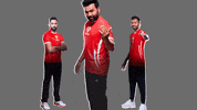 Ipl Dhoni GIF by Dream11