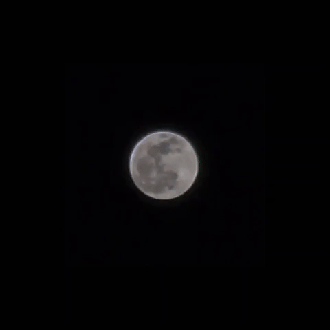 moon eclipse GIF