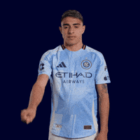 Mls GIF by New York City FC