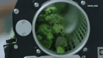 GIF by WEEDIQUETTE