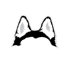niu huskies Sticker by Northern Illinois University