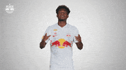 Football Sport GIF by FC Red Bull Salzburg